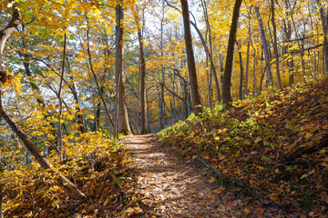 Poster - Hiking trail.