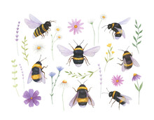 Bee Watercolor Illustration With Wildflowers Collection Isolated. Perfect For Cards, Prints. Summer Insects Watercolor.
