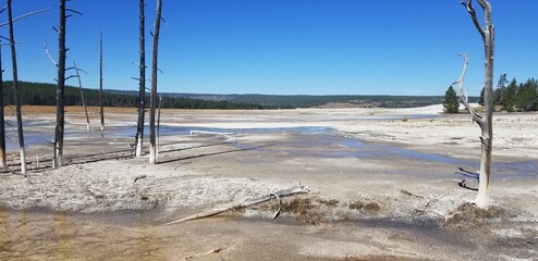 Wall Mural - Salt and Mineral Deposits at Yellowstone National Park, Wyoming