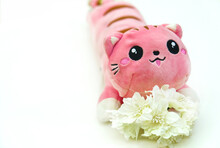 Funny Stuffed Cat Toy With White Artificial Flowers On White Background, Birthday And Mothers Day Concept