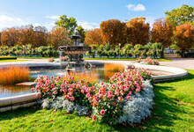Dahlia Flowers And Fountain In Volksgarten Park, Vienna, Austria