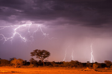 a horizontal shot of a dramatic lightning storm with a cloud filled sky, with trees in the foregroun