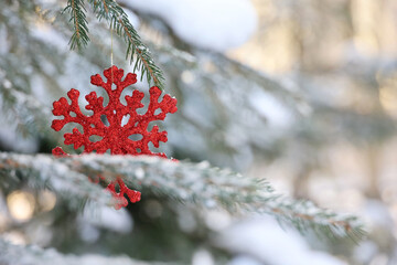 Wall Mural - Red toy snowflake hanging on a fir branch covered with snow and ice. New Year tree with decorations in winter park, frost weather