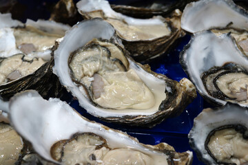  Fresh oysters selling on market stall