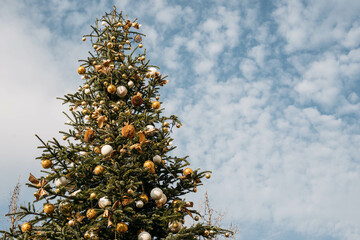 Christmas tree on the city streets