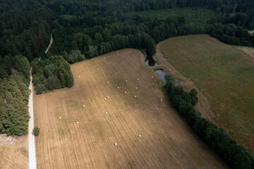 Wall Mural - Summer time landscape in countryside of Latvia.