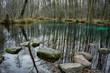Niebieskie źródła Tomaszów mazowiecki, niebieskie jezioro w lesie