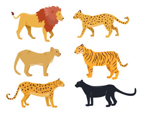 Wall Mural - Realistic wild cat cartoon characters vector illustrations set. Drawings of big cats: lion, jaguar, cougar, tiger, cheetah, black panther isolated on white background. Wildlife, fauna, zoo concept