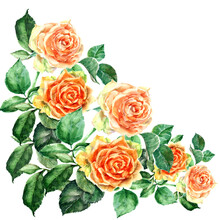 Watercolor Orange Roses Bouquet. Corner For Decoration Card.