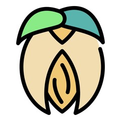 Poster - Jojoba nut icon. Outline jojoba nut vector icon color flat isolated