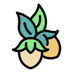 Poster - Jojoba plant icon. Outline jojoba plant vector icon color flat isolated