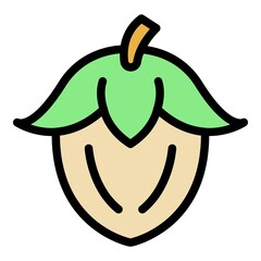 Poster - Cosmetic jojoba nut icon. Outline cosmetic jojoba nut vector icon color flat isolated