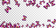 Exotic Purple Butterflies Flying Vector Illustration. Spring Little Insects. Simple Butterflies Flying Fantasy Background. Tender Wings Moths Patten. Fragile Creatures.