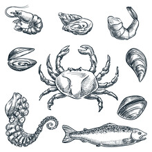 Seafood And Fresh Raw Fish Set. Hand Drawn Vector Sketch Illustration. Sea Food Restaurant Or Market Design Elements