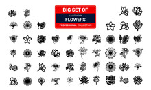 Set Of Flower Icons Vector Collection, Illustration Template In Trendy Style. Suitable For Many Purposes Black Colors And With White Background 03