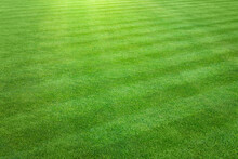 An Landscape View Of A Large Patch Of Some Freshly Cut, Healthy, Green Grass Mowed In A Checkerboard Pattern.
