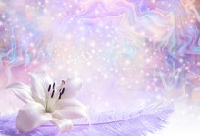 Beautiful Lily Laid On Lilac Ostrich Feather Background - Sparkles And Ethereal Flowing Background For Messages With A Big Lily Head Atop A Large Lilac Feather For Holistic Spiritual Concept
