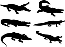Alligator Silhouette Pack
