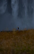© GERARDO TROISI - Skogafoss