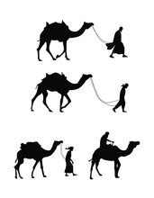 Camels And Desert Man Silhouette Walking