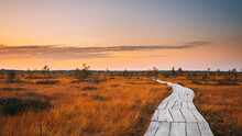 4K 5K Miory District, Vitebsk Region, Belarus. Yelnya Swamp Nature Reserve Landscape. Famous Natural Landmark. Sunset Wooden Hiking Trail Winding Through Marsh. Cognitive Boardwalk Trail Over A