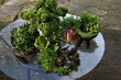 jesienne plony na szklanym stole na tarasie jarmuż warzywa zielenina