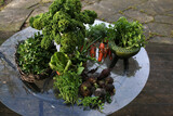 Fototapeta  - jesienne plony na szklanym stole na tarasie jarmuż warzywa zielenina