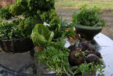 Fototapeta  - jesienne plony na szklanym stole na tarasie jarmuż warzywa zielenina