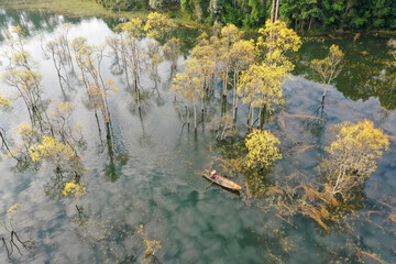 Wall Mural - the beauty of the flooded forest at sunrise, the photo taken by a drone