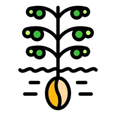 Poster - coffee tree icon. outline coffee tree vector icon color flat isolated