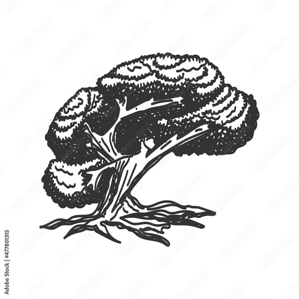 Oak Tree Woman Icon Illustration Brand Identity Stock Vector | Adobe Stock