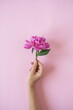 © Floral Deco - Female hand holding pink peony flower on pink background