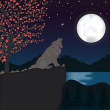 Vector Landscape Illustration With Mountains And Moon, Forests In Night Time. Wolf On The Top Of Rock Cliff, The River View, Dark Sky And Stars. 