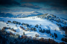 Winter Meadows. Carpathian Mountains. Mala Fatra, Slovakia. High Quality Photo