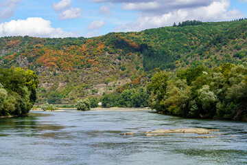 Wall Mural - The Middle Rhine Valley near Bacharach, Rhineland-Palatinate, Germany