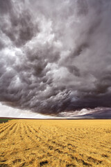 Wall Mural - Improbable thundercloud