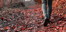 Walking Alone On The Path Of Fallen Leaves