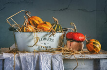 Ripe And Tasty Pumpkins On The Table. Harvested Harvest. Retro Still Life.