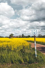 Wall Mural - Rural scene with rusty road sign along gravel road next to yellow canola rapeseed fields in Sweden