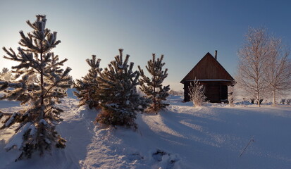 Wall Mural - Russia. Kemerovo region - Kuzbass. Kuznetsk Alatau. Frost-covered trees illuminated by the evening sunset sun on the snow-covered bank of the Uskat River.