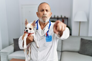 Wall Mural - Mature veterinarian man checking dog health pointing with finger to the camera and to you, confident gesture looking serious