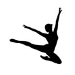 © Vieriu - Silhouette ballet dance ballerina , illustration icon