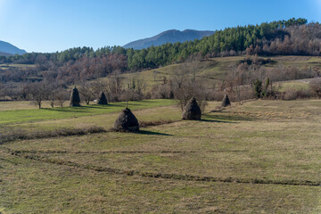 Wall Mural - Straw mulch, for animals in winter, in the middle of the field