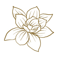 golden line flower for logo, icon and weddings invitation elements