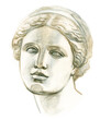 © kharlamova_lv - Antique plaster head Venus. Academic freehand pencil drawing