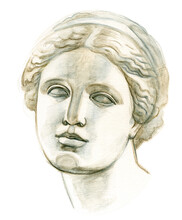 Antique Plaster Head Venus. Academic Freehand Pencil Drawing