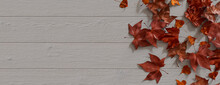 Thanksgiving Background With Autumn Leaves On White Wood Tabletop.