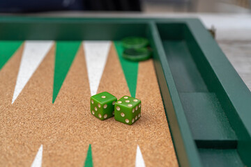 game of Backgammon in Emerald green