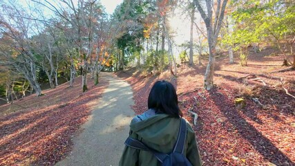 Poster - 秋の山林を散策する女性