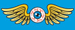 Flying Eyeball Vector Graphic.
Vector Illustration of flying human eyeball with bird or angel wings.